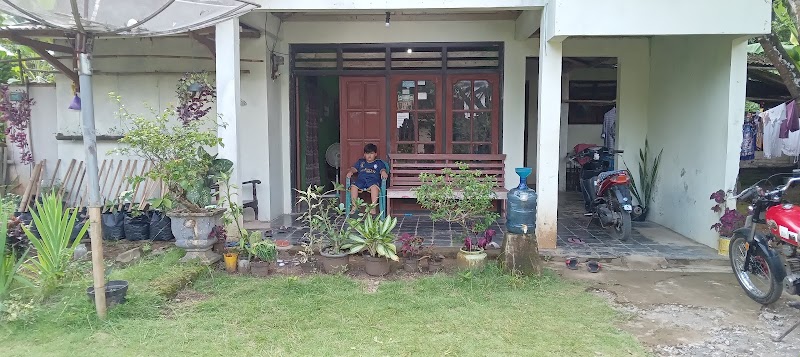 Sea Cathouse Cilacap: Solusi Jasa & Layanan Terbaik untuk Warga Limbangan